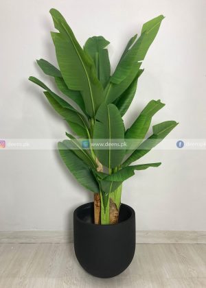 Bamboo Banana Plant With Planter PL1008
