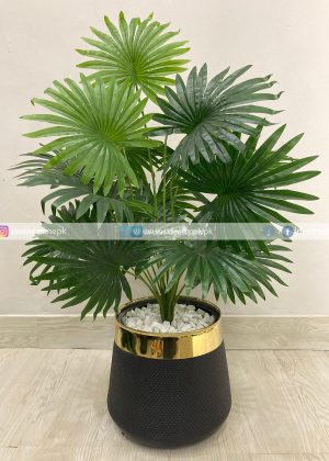 Fan Palm Plant With Planter PL1021