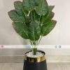 Banana Plant With Planter PL1023