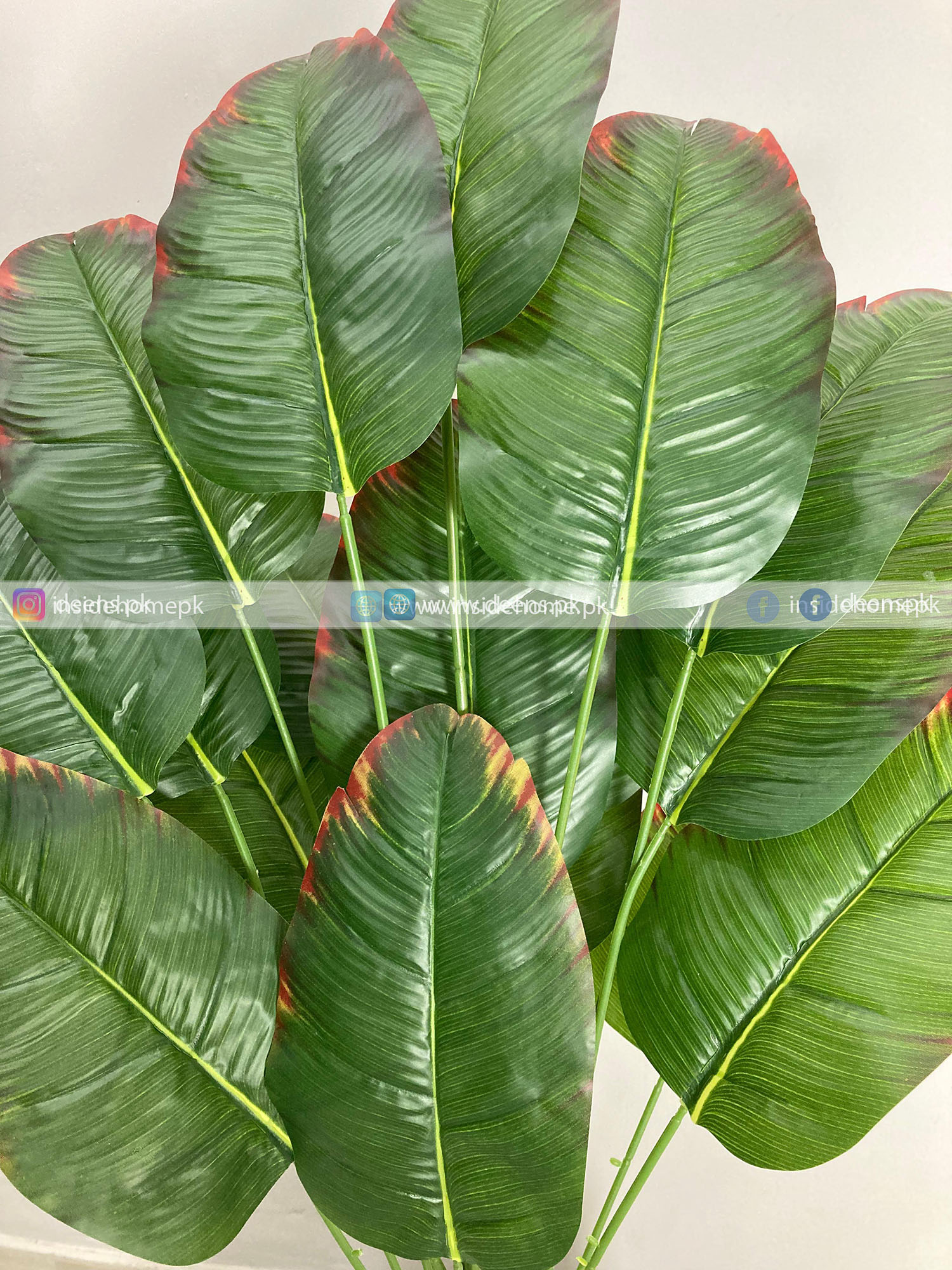 Banana Plant With Planter PL1023 - Image 2
