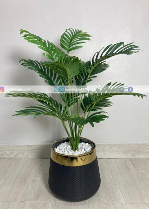 Areca Palm Plant With Planter PL1027