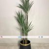 Agave Plant With Planter PL1028