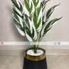 Banana Plant PL1030