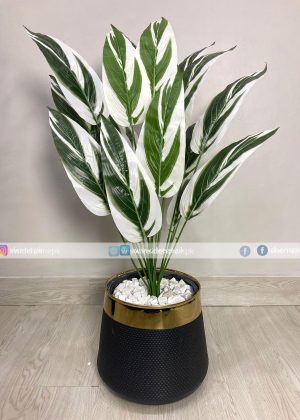 Banana Plant PL1030