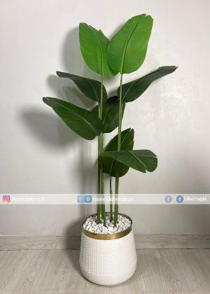 Banana Plant With Planter PL1032